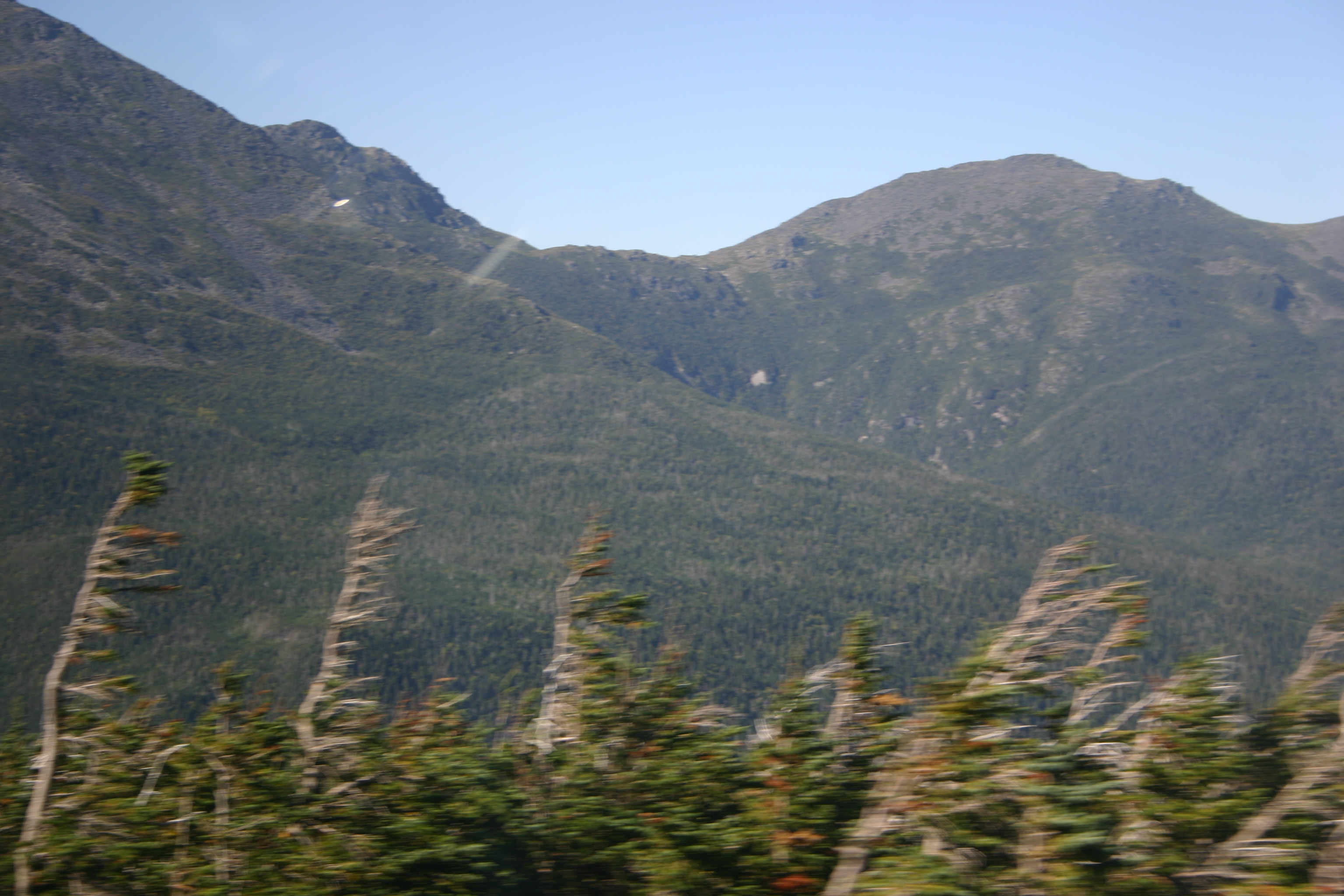 picture 40.